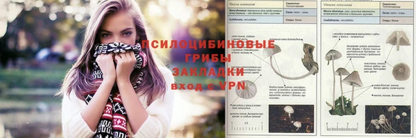 героин Алексин