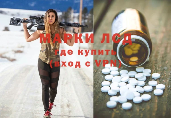 стафф Алзамай