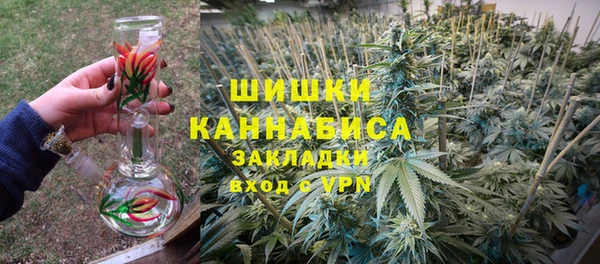стафф Алзамай