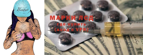 стафф Алзамай