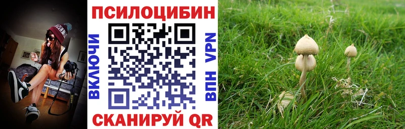 кракен ТОР  Ижевск  Галлюциногенные грибы Magic Shrooms 